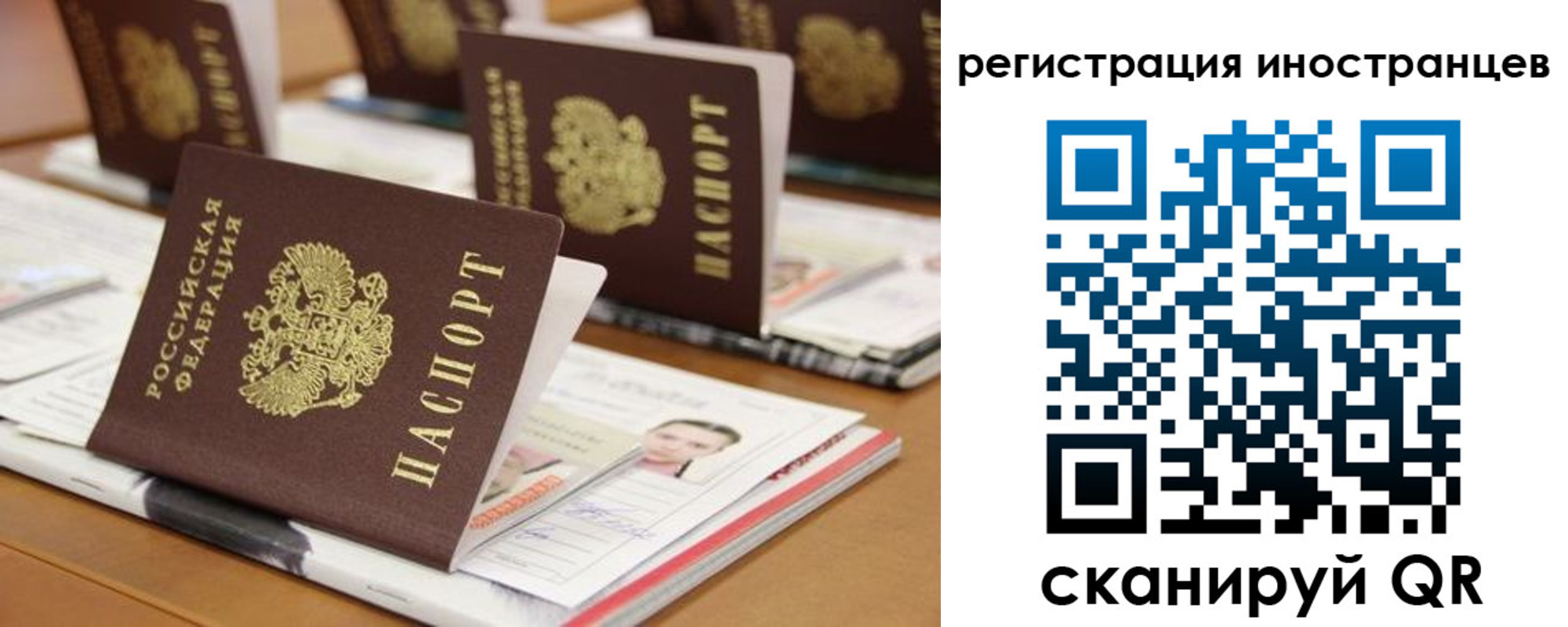 пропишу в квартире в Лесном