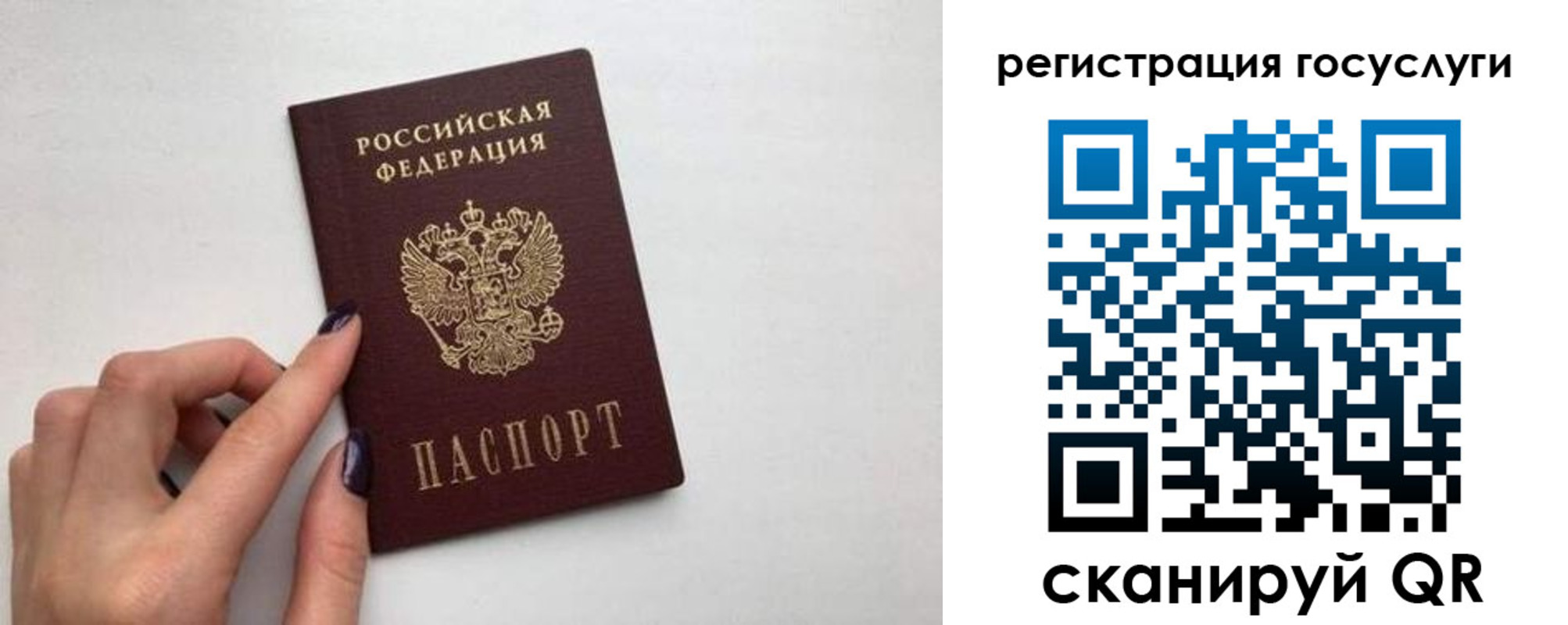 временная регистрация гарантия в Лесном